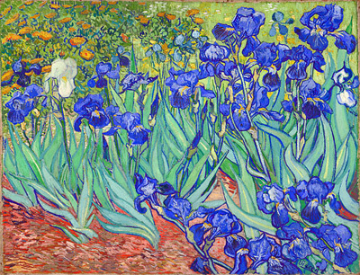 Irises Van Gogh