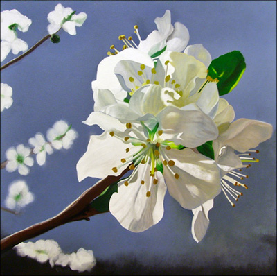 Spring Blossoms
