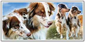 Joe Paintings of Pets