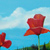 Poppies