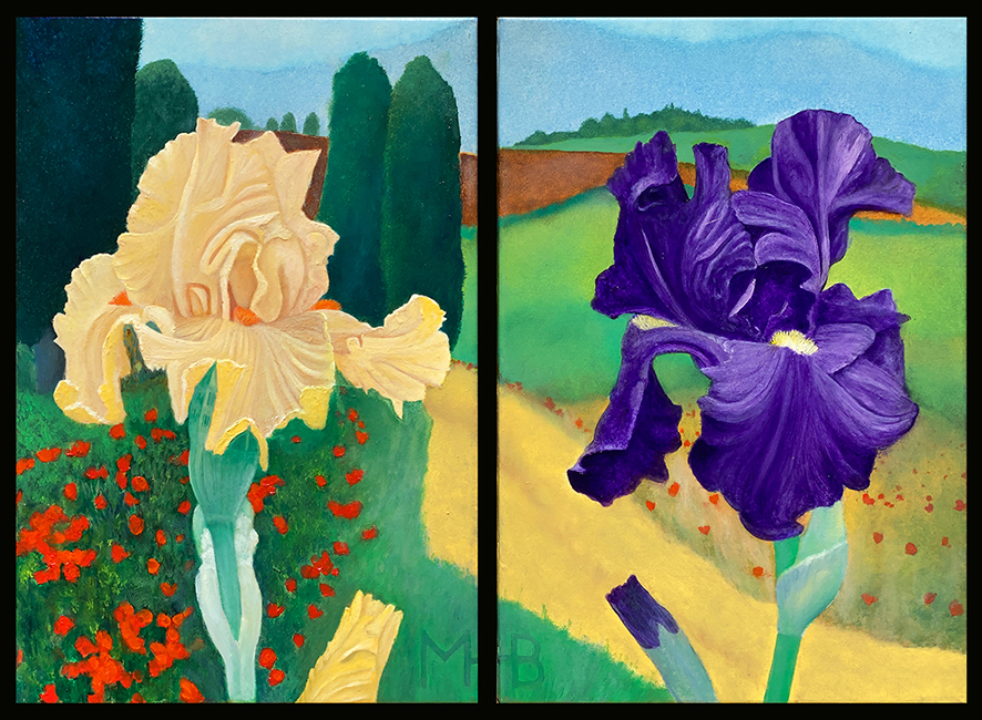 Irises for Claire