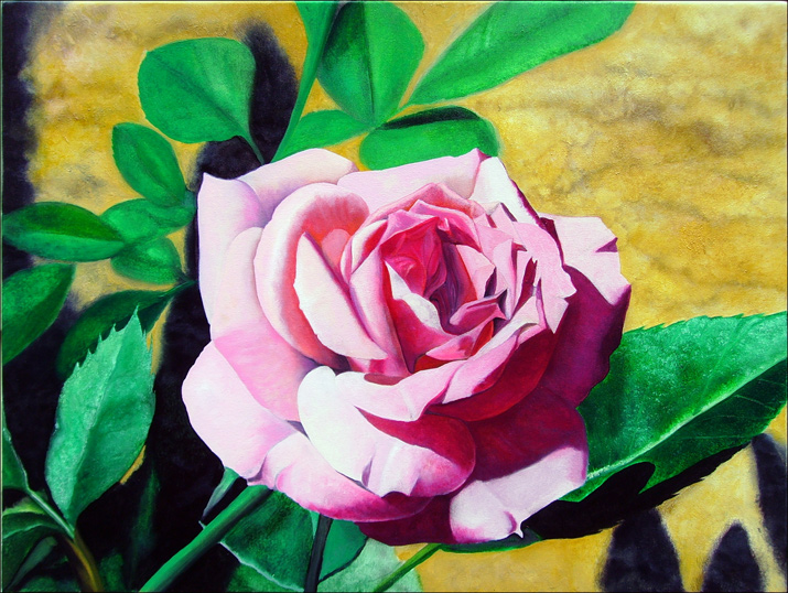 Little Pink Rose - An Original Oil Painting by Matthew Bates