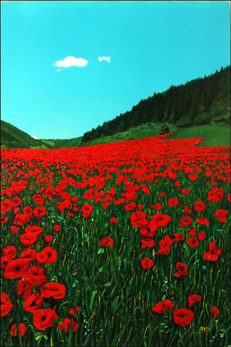 Poppies -&copy;1996, Matthew Bates, All Rights Reserved
