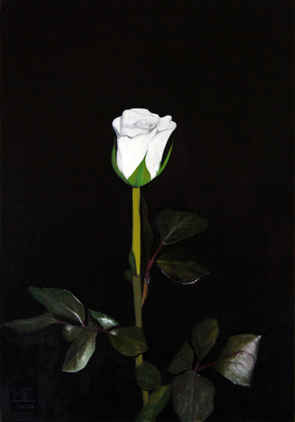 White Rose