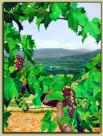 Chianti - ©2000, Matthew Bates