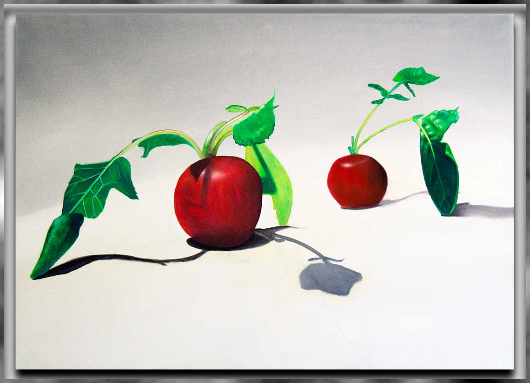 Radishes - Click to go to Still Life Gallery