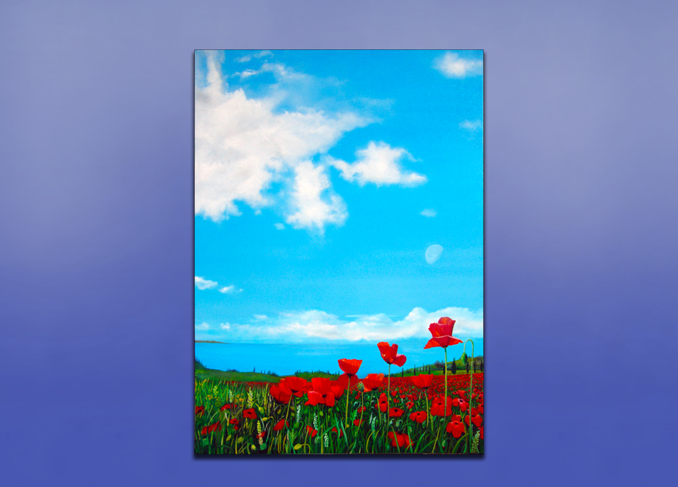 Poppies Universe