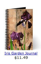 journal