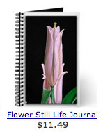 Journal