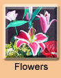 Flowers Gallery