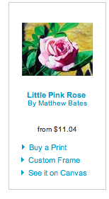 Little pink rose