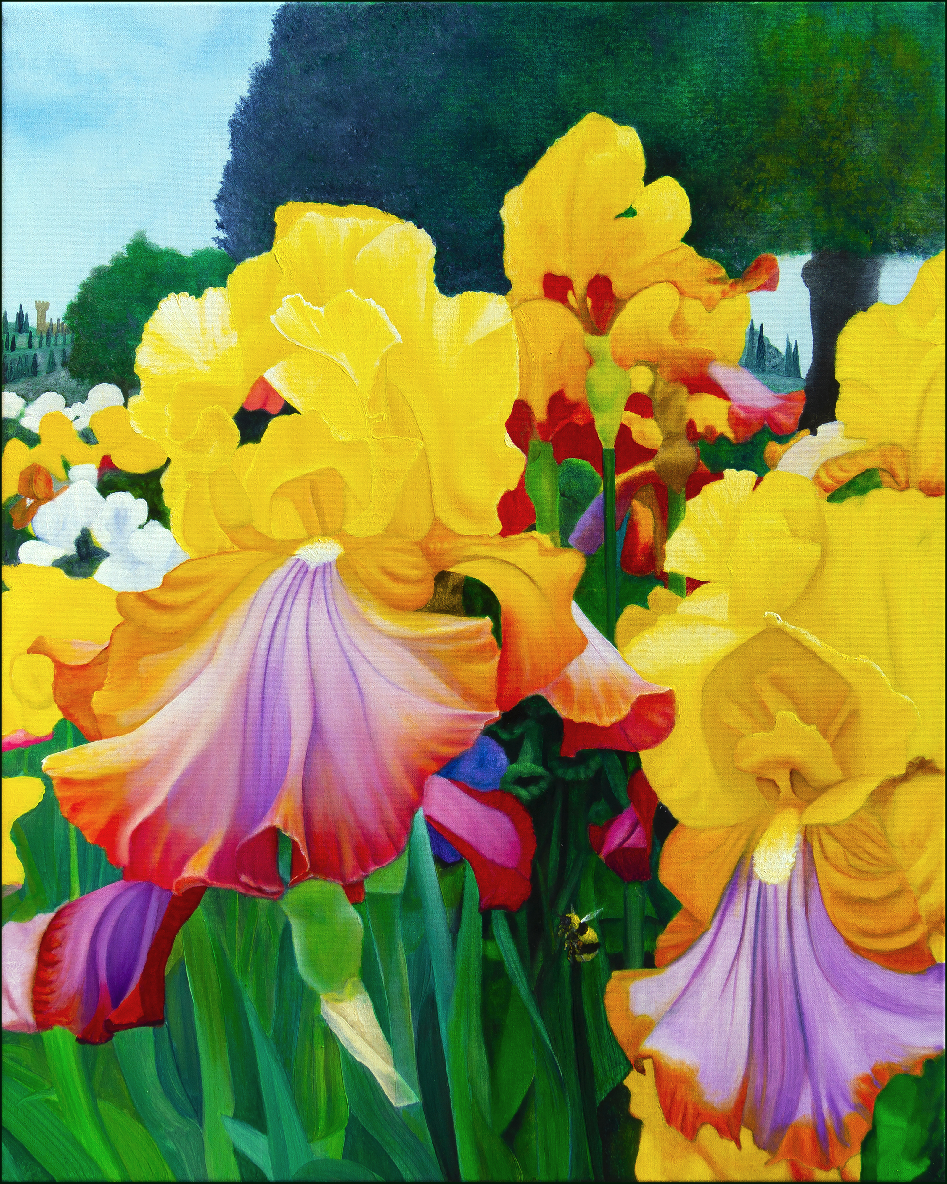 Iris Garden oil painting by Matthew Holden Bates