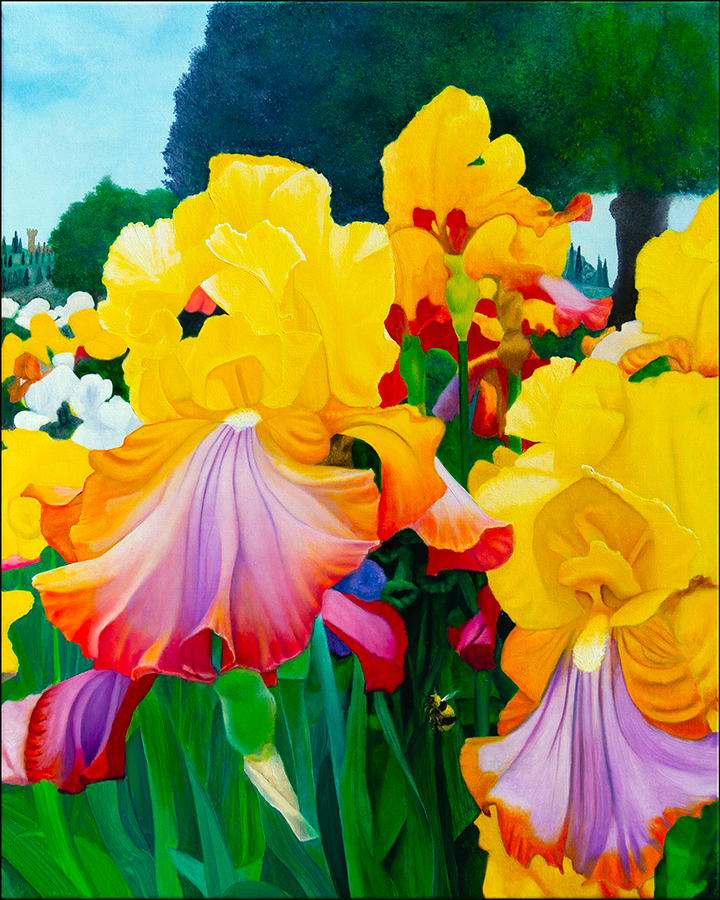 "Iris Garden" an original oil painting by Matthew Holden Bates