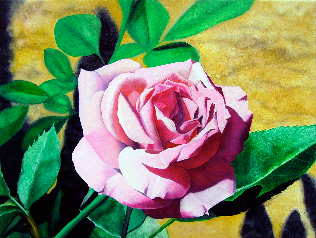 "Little Pink Rose" an original oil painting by Matthew Holden Bates