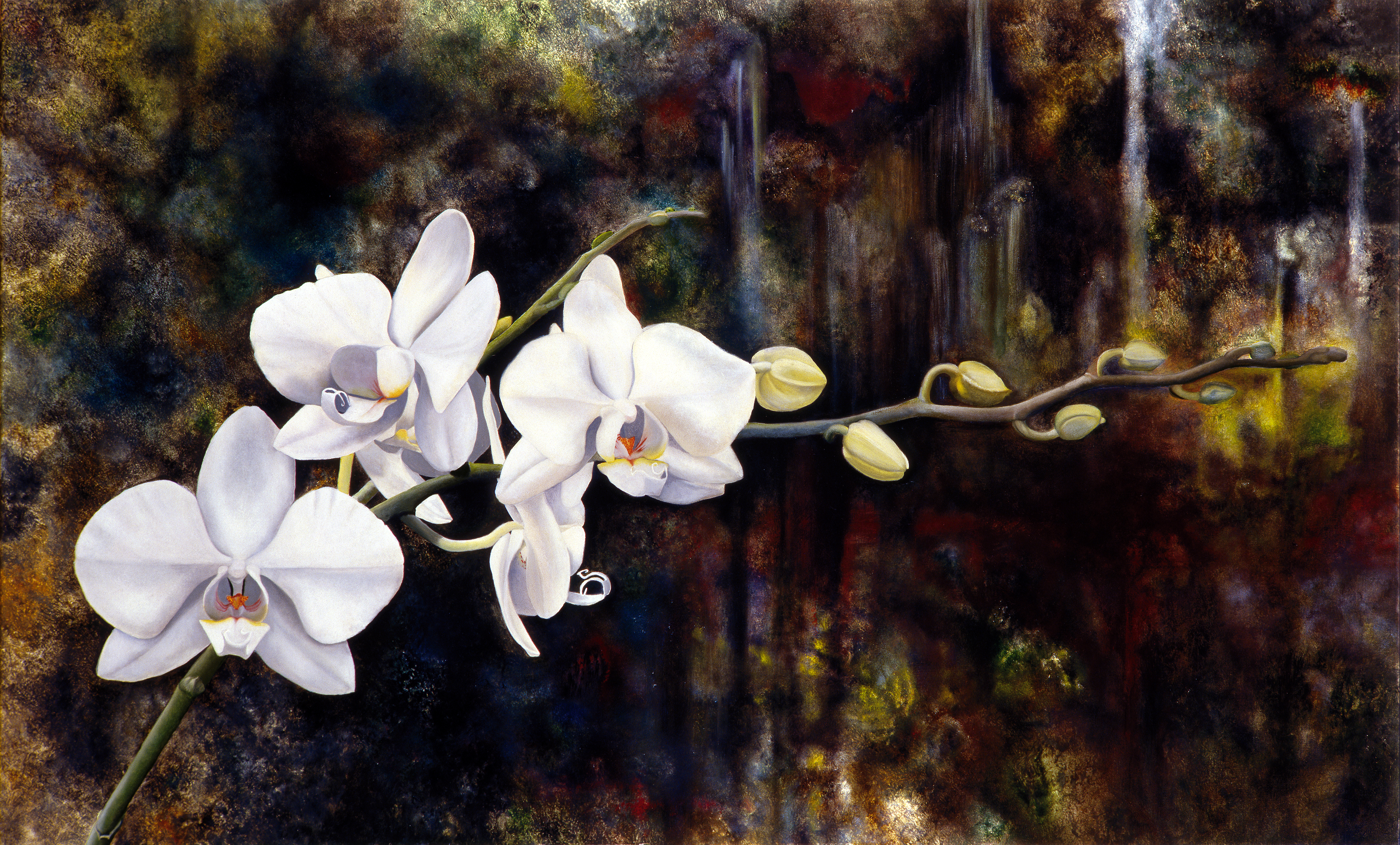 Orchids oil painting by Matthew Holden Bates