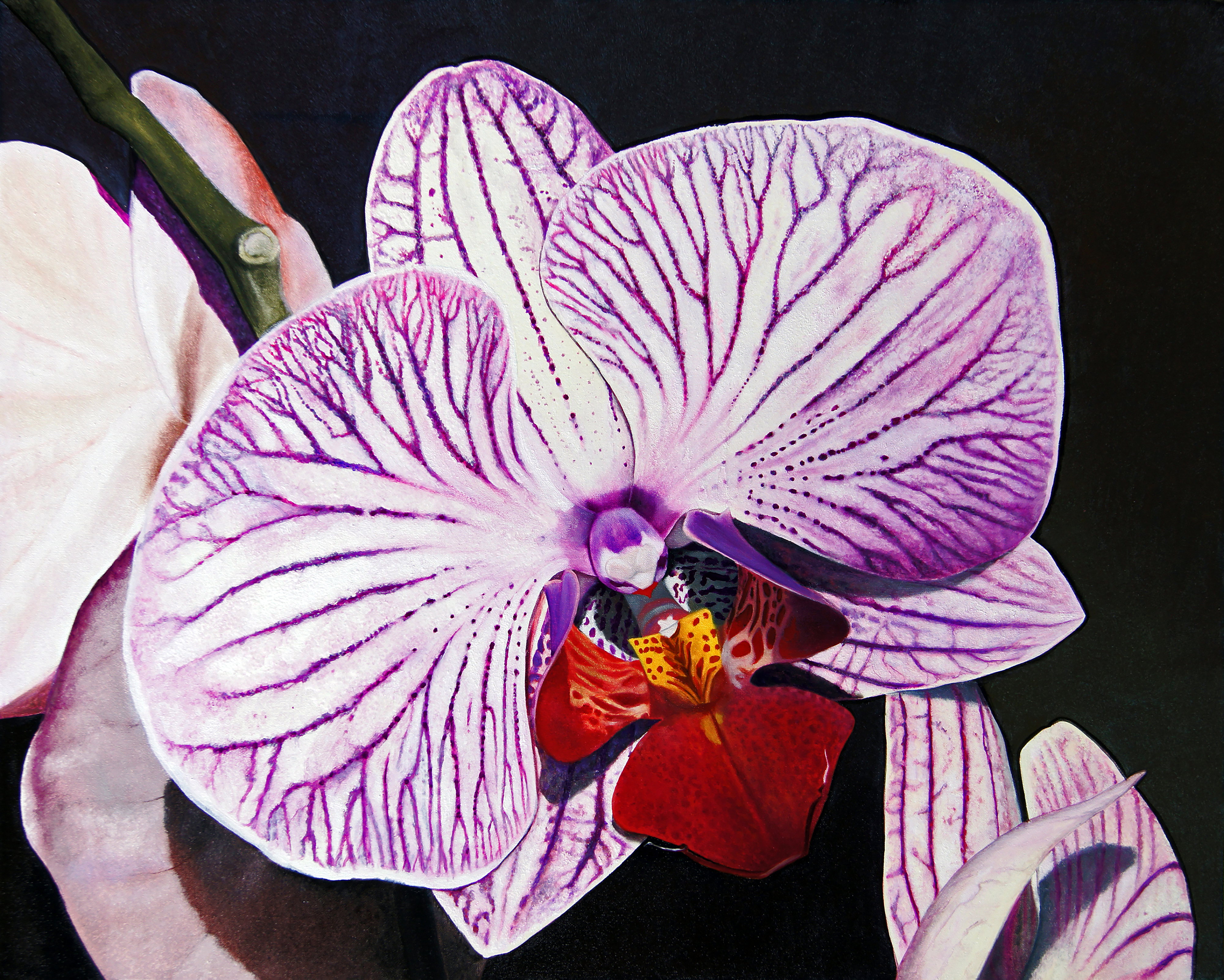 Purple Orchids oil painting by Matthew Holden Bates