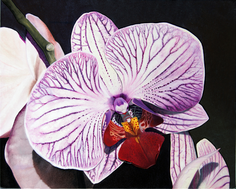 Purple Orchid - an original oil painting by Matthew Bates