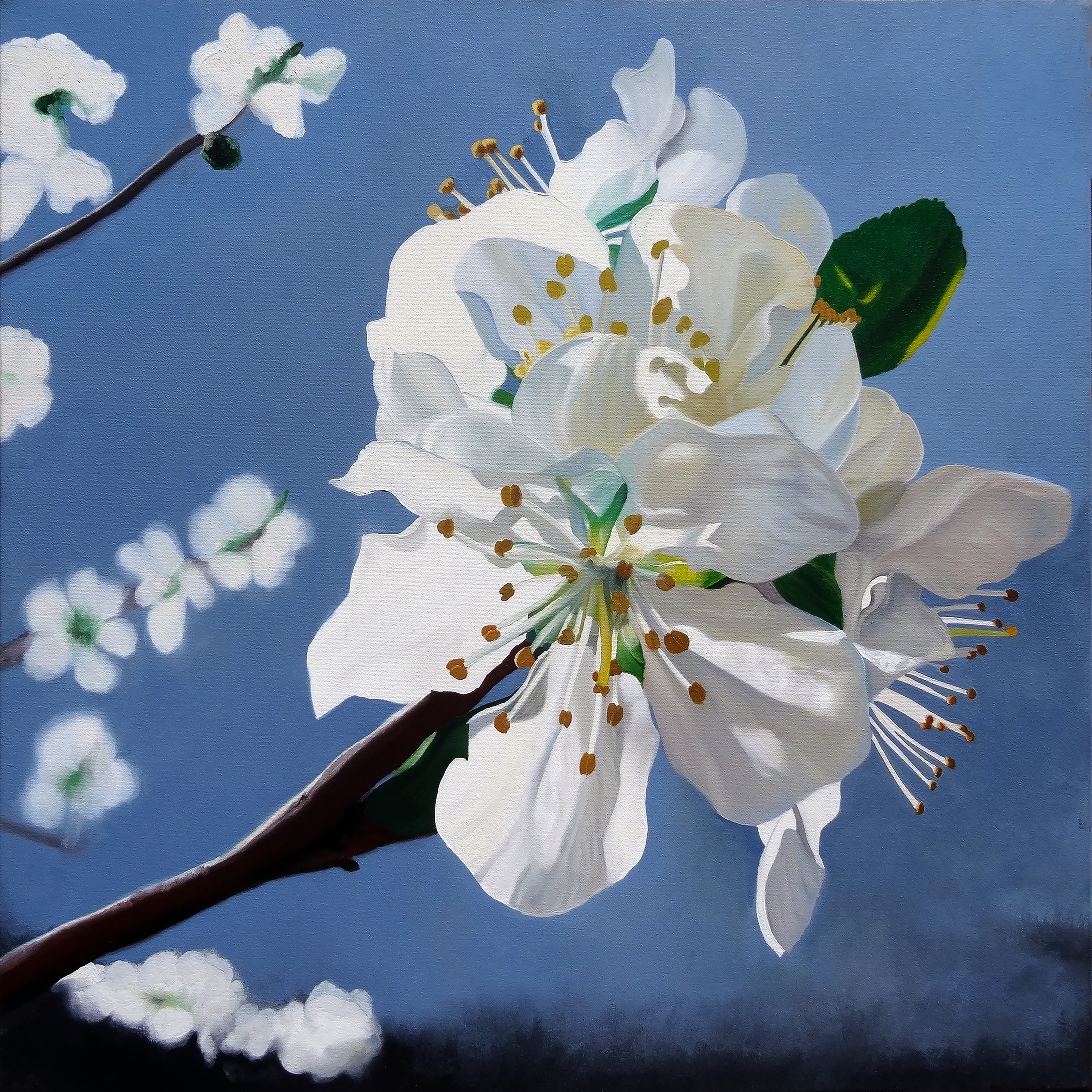 Spring Blossoms oil painting by Matthew Holden Bates