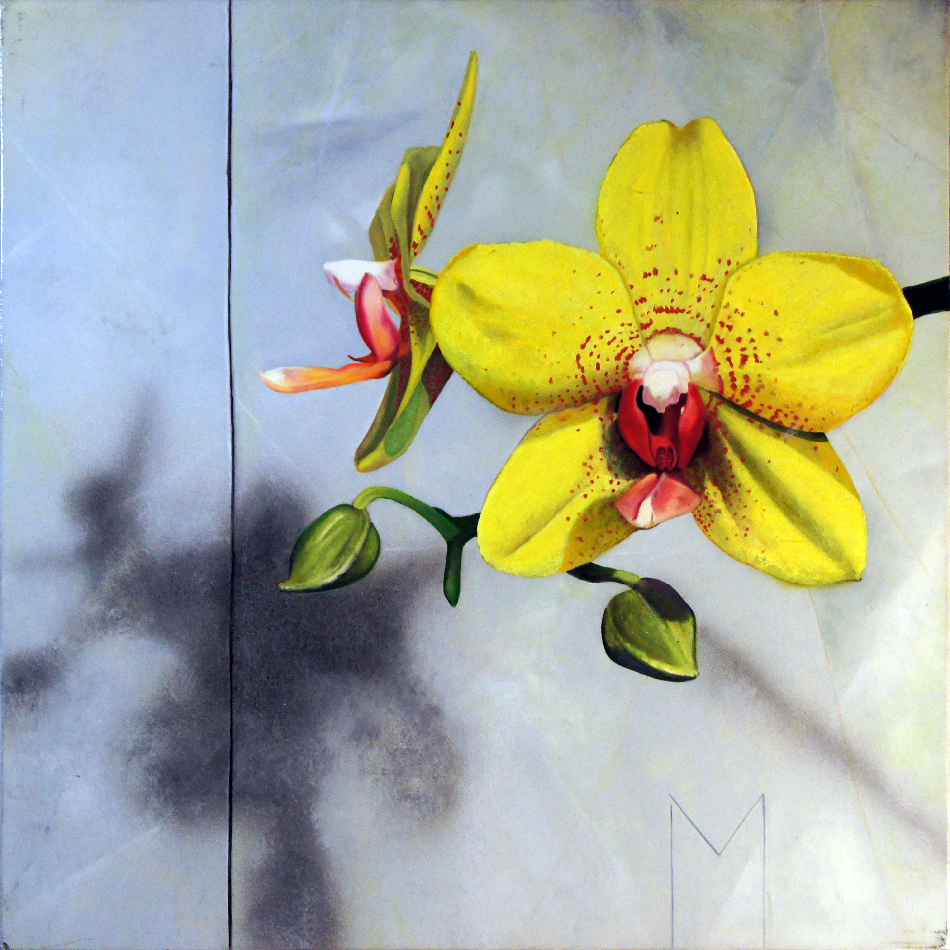 Yellow Orchids oil painting by Matthew Holden Bates