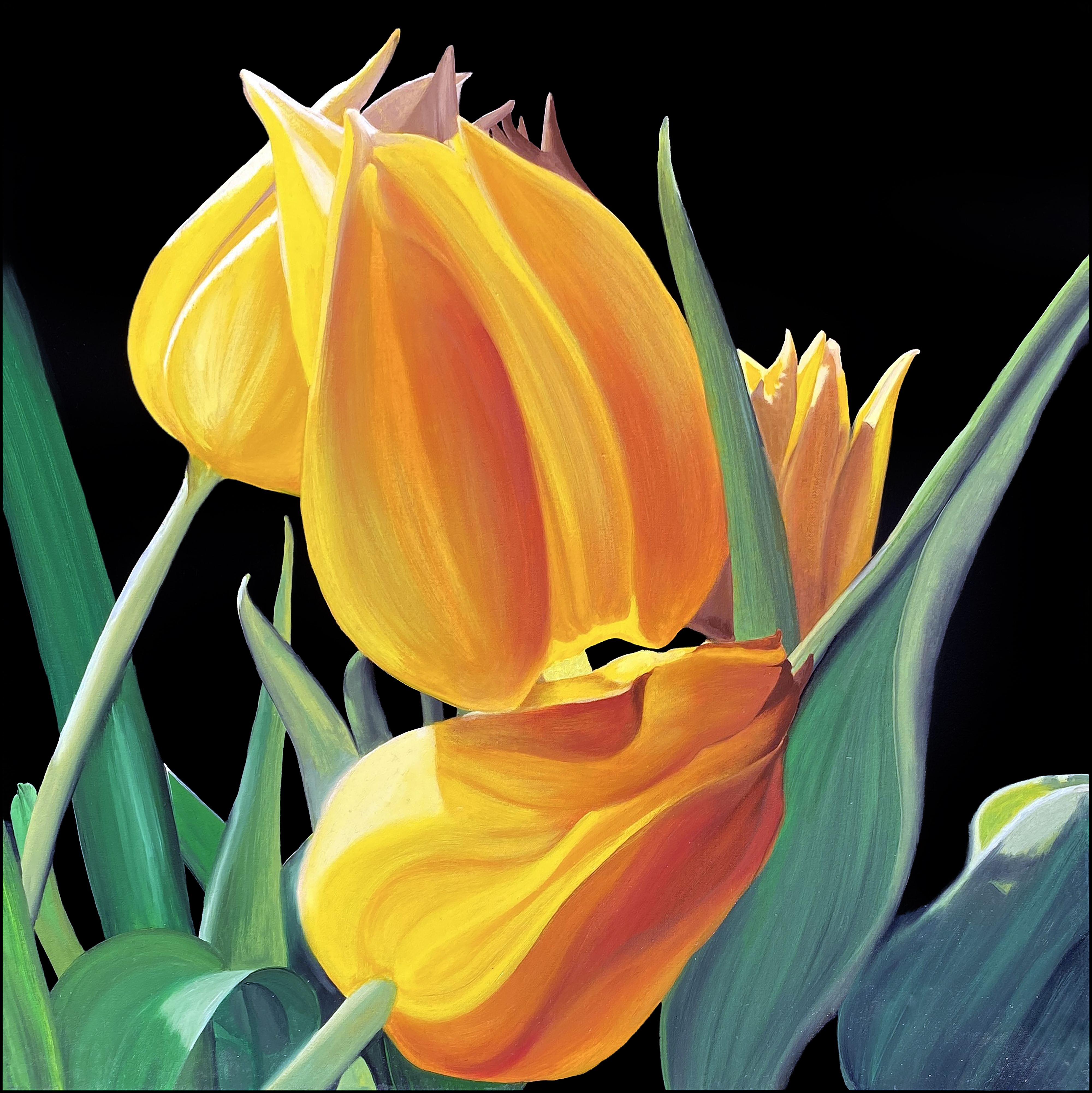 Yellow Tulips oil painting by Matthew Holden Bates