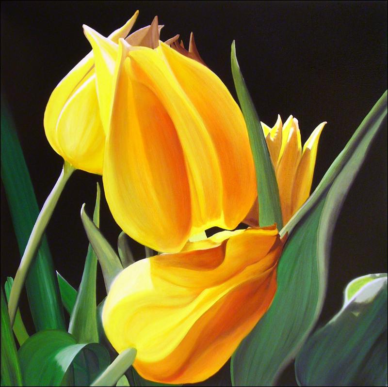 "Yellow Tulips" an original oil painting by Matthew Holden Bates