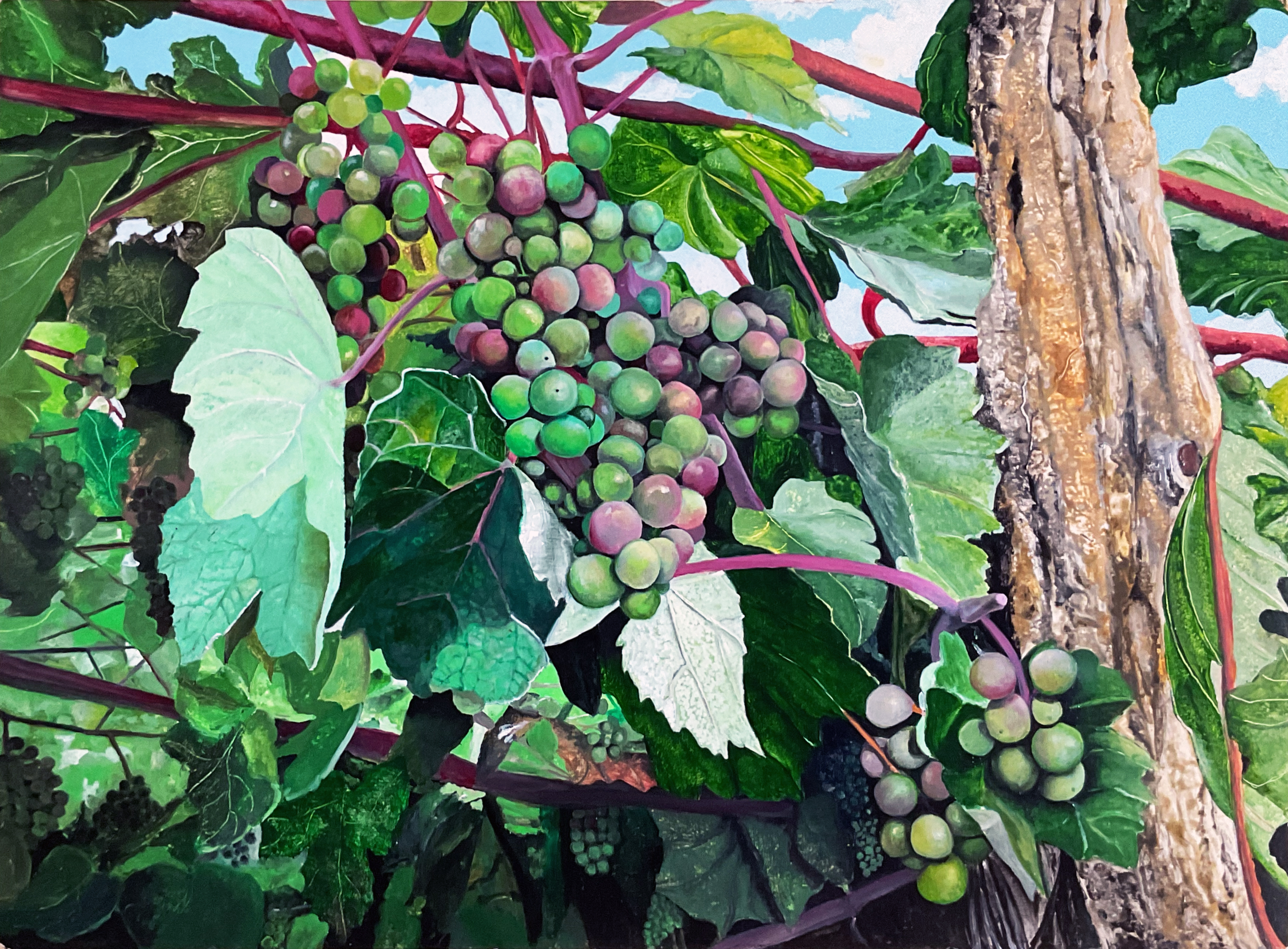 Grapevine oil painting by Matthew Holden Bates