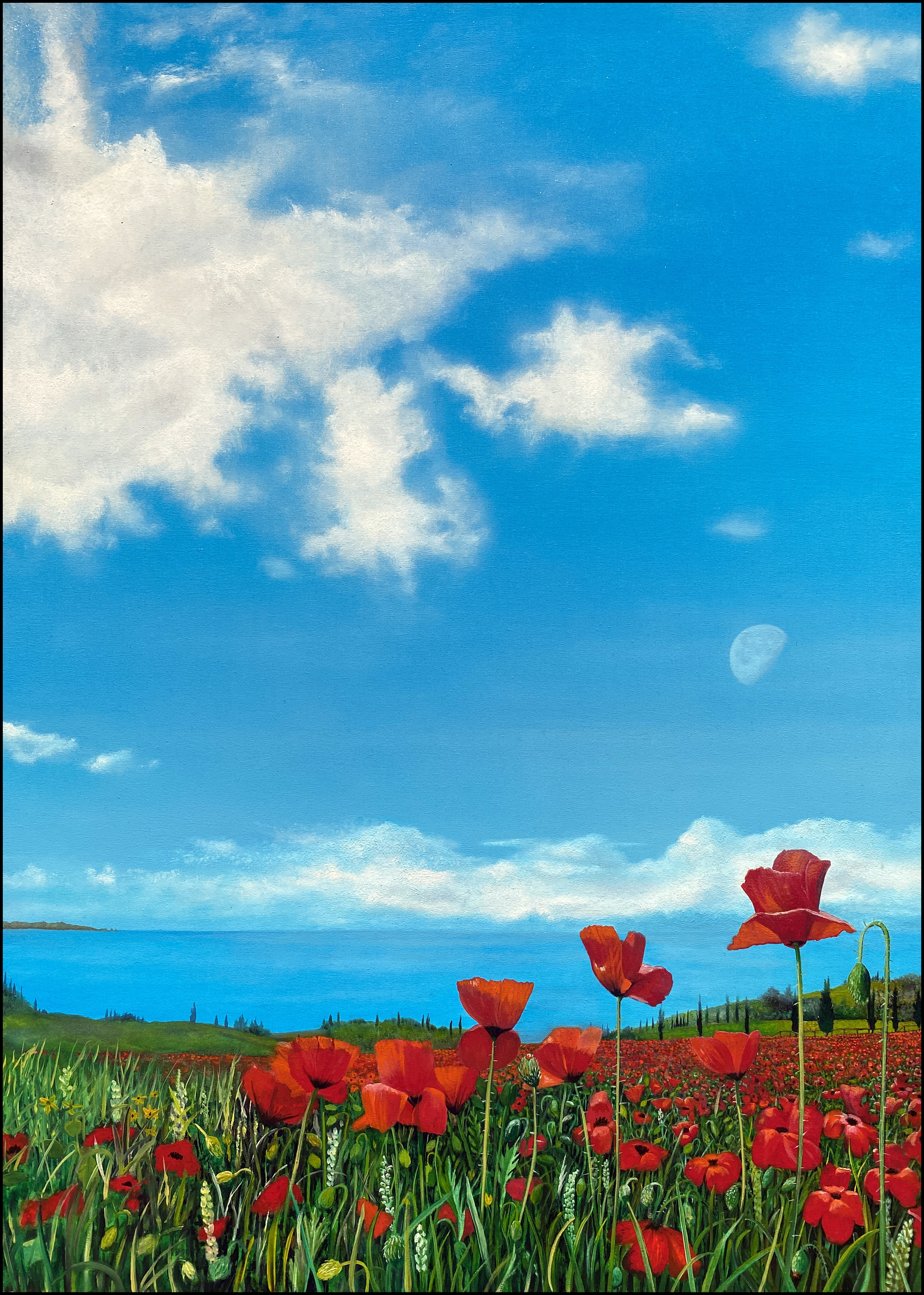Poppies on Elba oil painting by Matthew Holden Bates