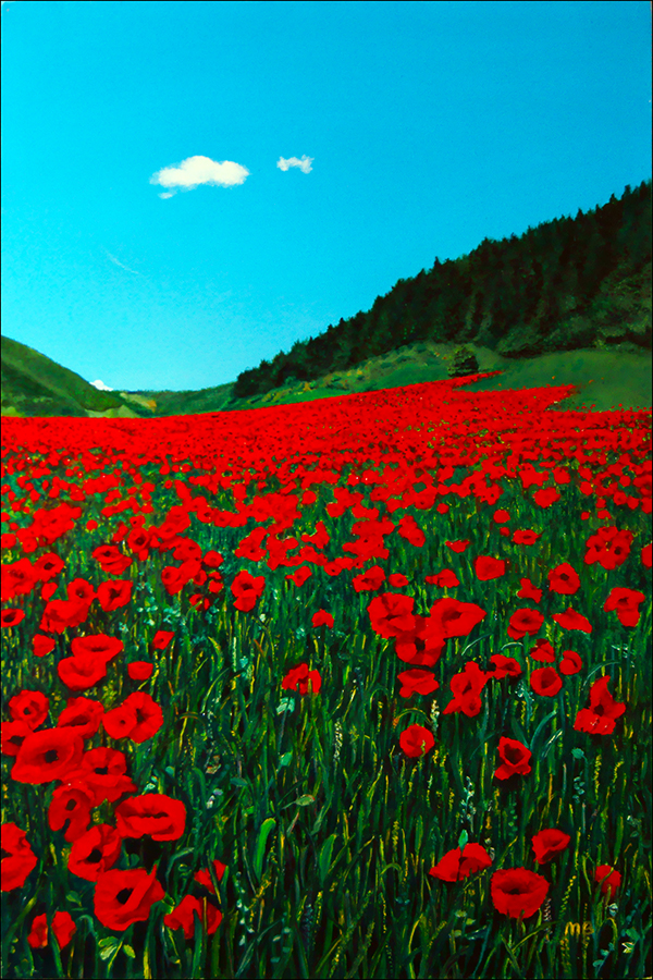 "Poppies" an original oil painting by Matthew Holden Bates