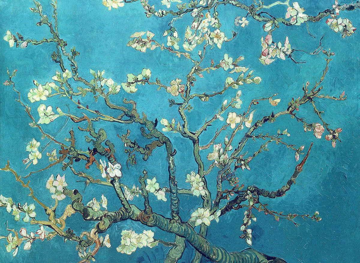 Van Gogh Almond Blossom