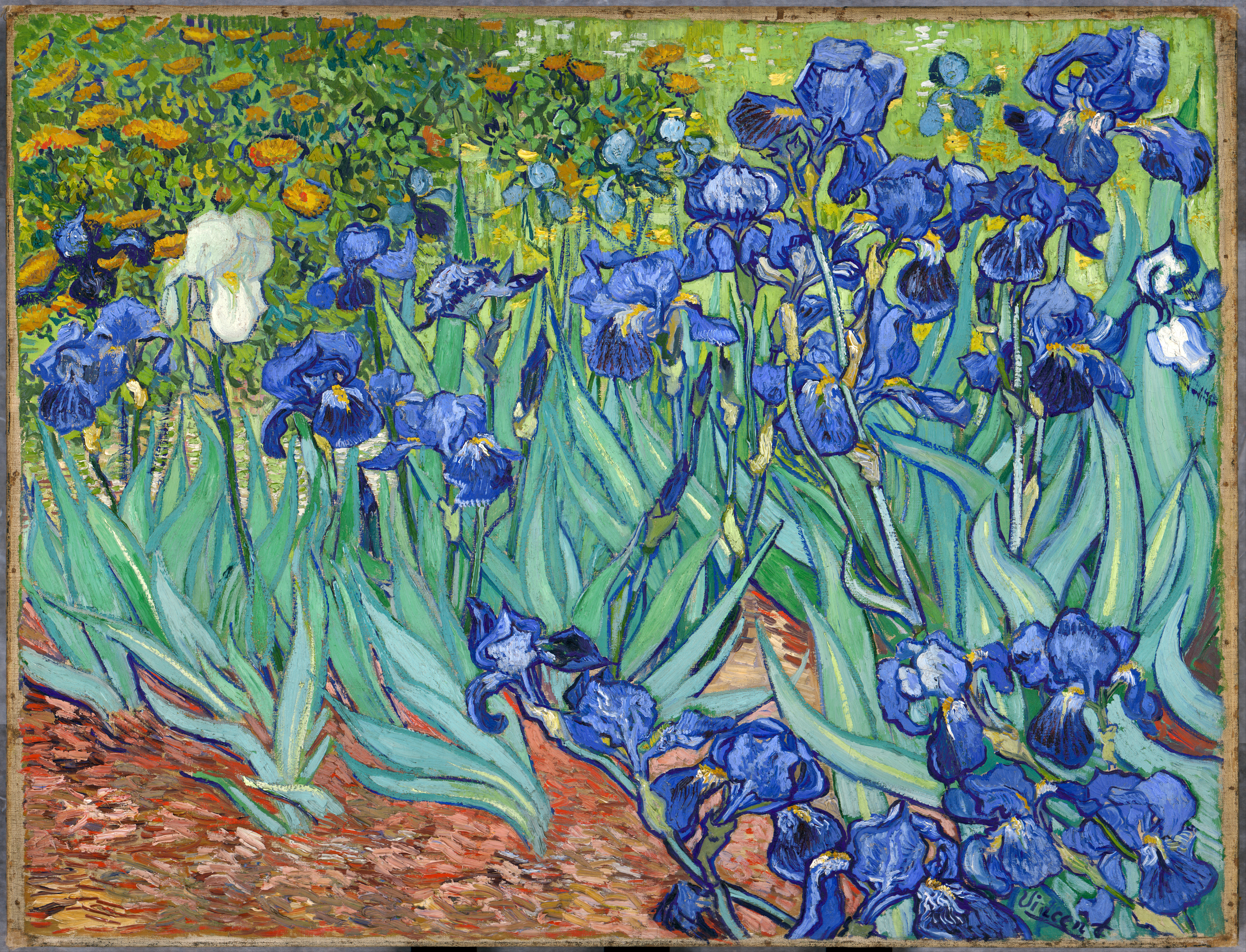 Van Gogh comparison image