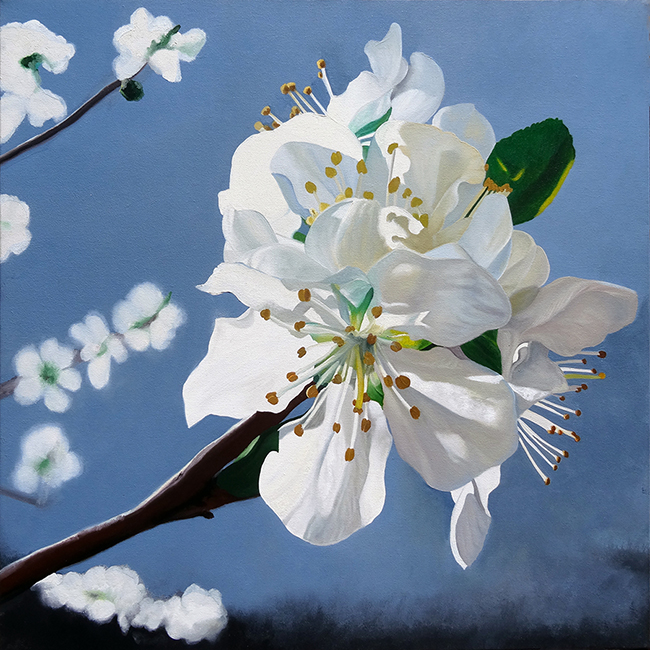Spring Blossoms Matthew Holden Bates